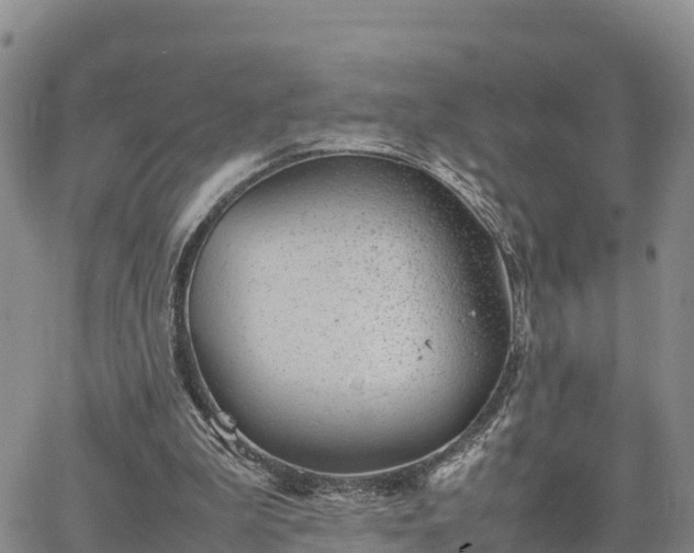 X0000064750199200602171742