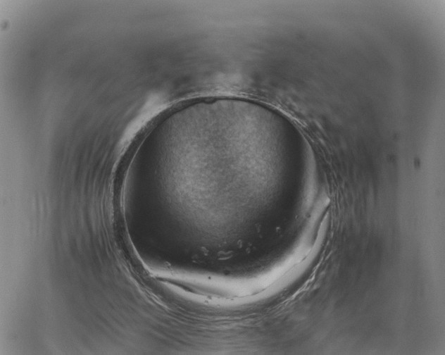 X0000064750200200602171742