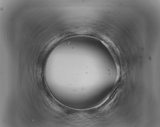 X0000064750201200602171742