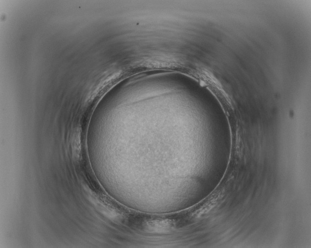 X0000064750202200602171742