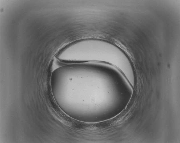 X0000064750203200602171742