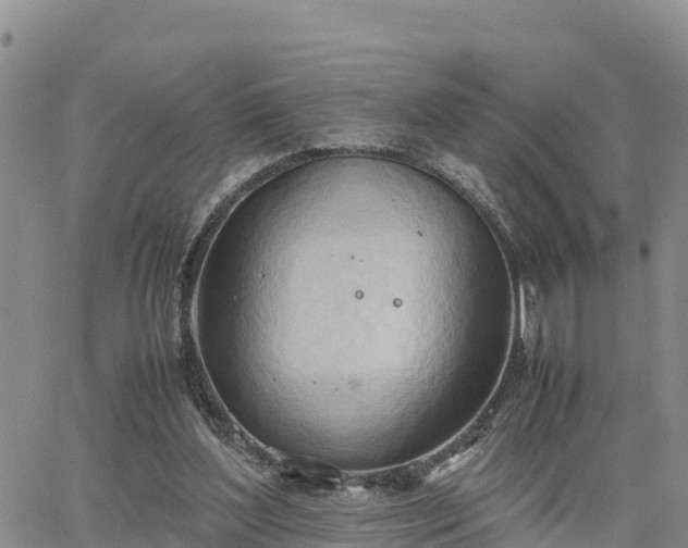 X0000064750204200602171742