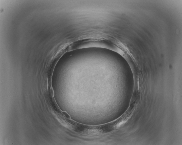 X0000064750205200602171742