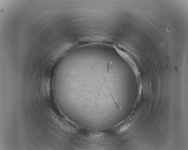 X0000064750206200602171742