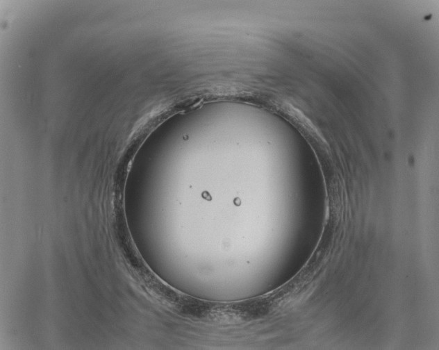 X0000064750207200602171742