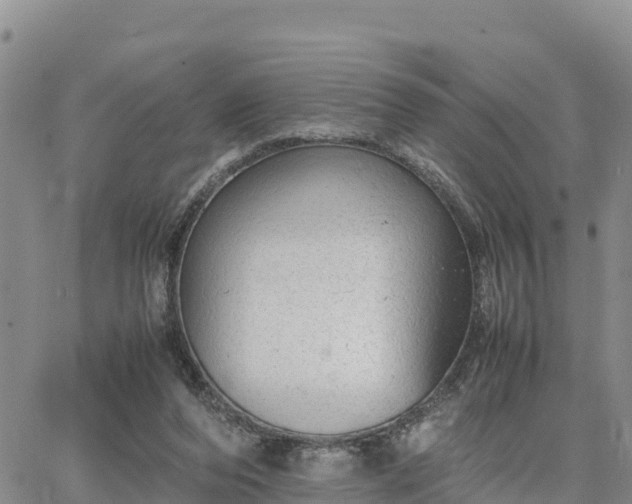 X0000064750208200602171742