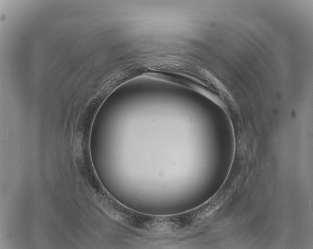 X0000064750209200602171741