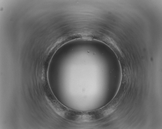 X0000064750212200602171741