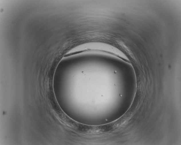 X0000064750213200602171741