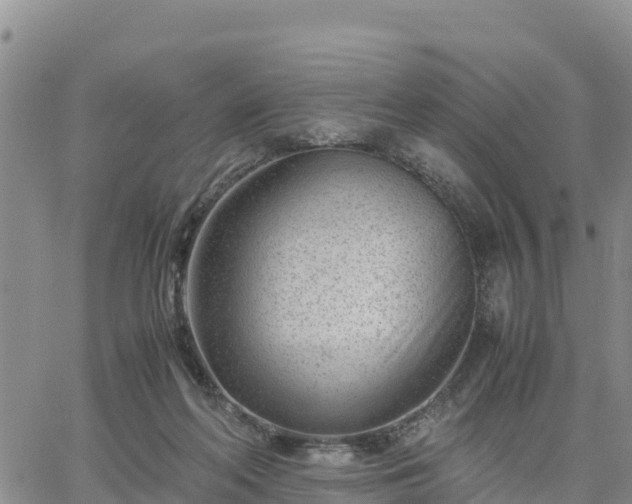 X0000064750214200602171741