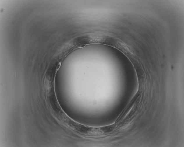 X0000064750215200602171741