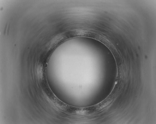 X0000064750216200602171741