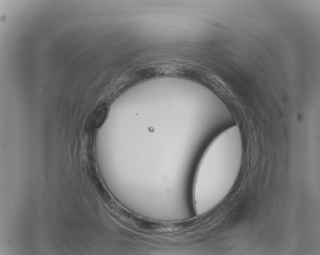 X0000064750217200602171741