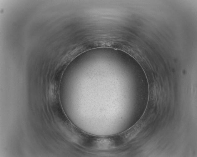 X0000064750218200602171741