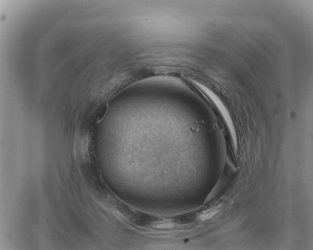 X0000064750219200602171741