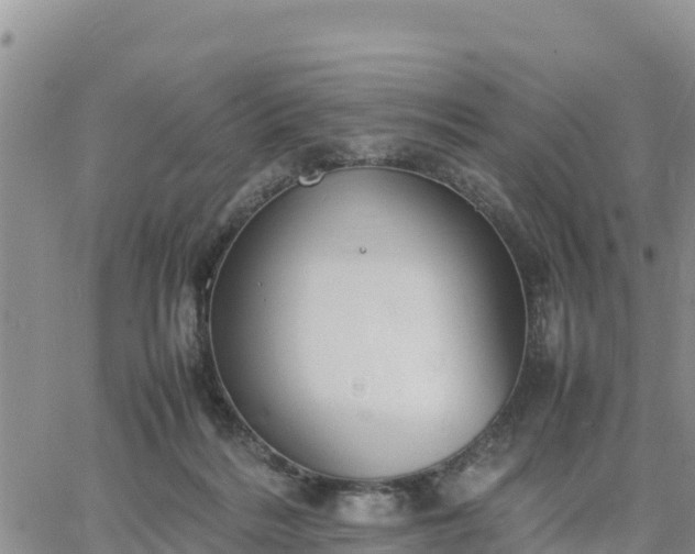 X0000064750220200602171741