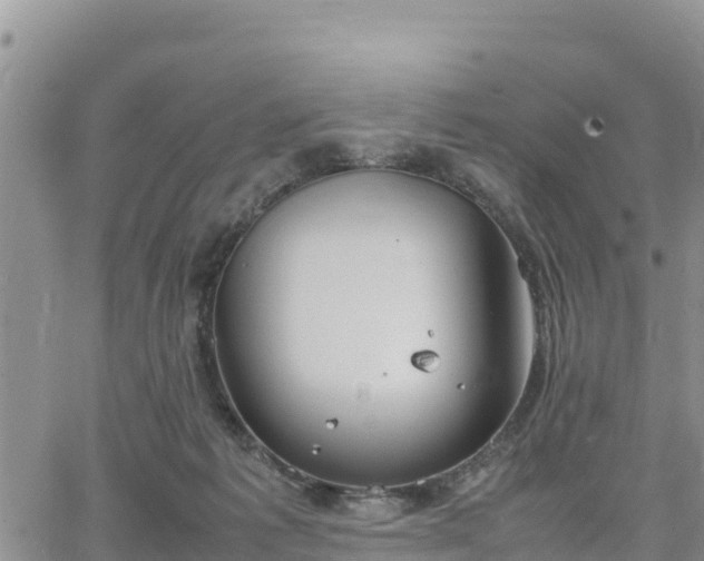 X0000064750221200602171741