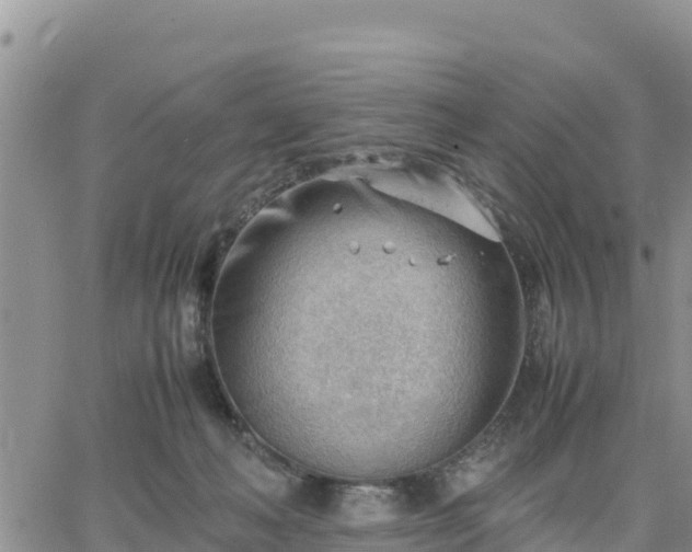 X0000064750222200602171741