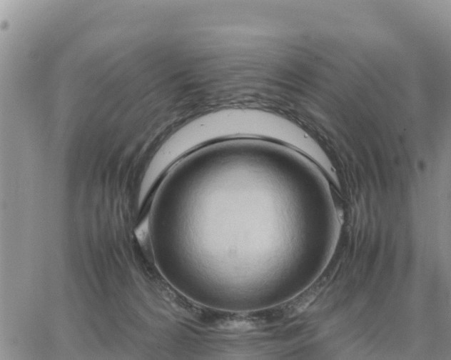 X0000064750224200602171741