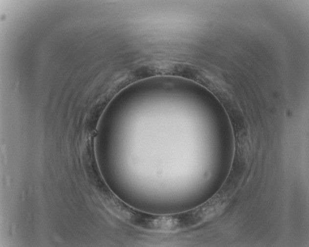 X0000064750225200602171741