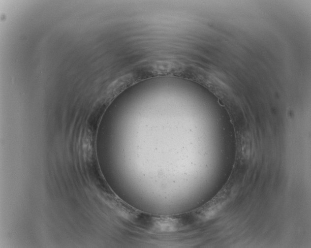 X0000064750226200602171741