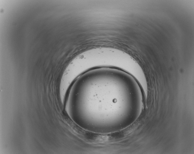 X0000064750227200602171741