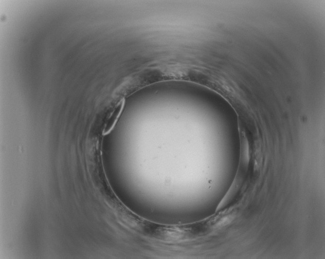 X0000064750229200602171741