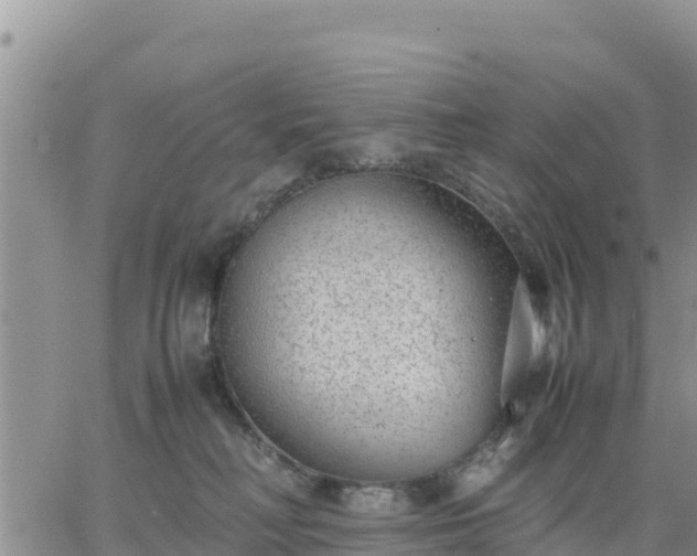 X0000064750230200602171741