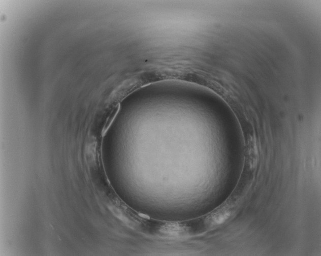 X0000064750231200602171741