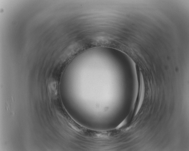 X0000064750232200602171741