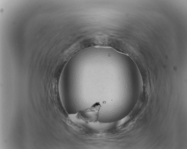 X0000064750233200602171741