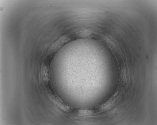 X0000064750234200602171741