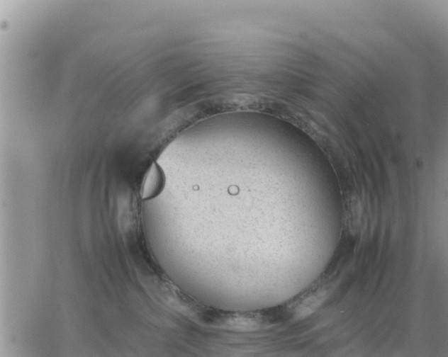 X0000064750236200602171741