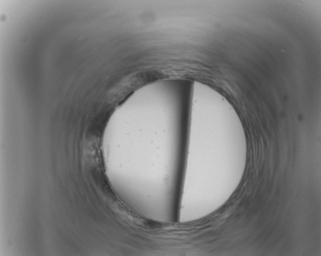 X0000064750237200602171741