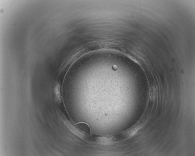 X0000064750238200602171741