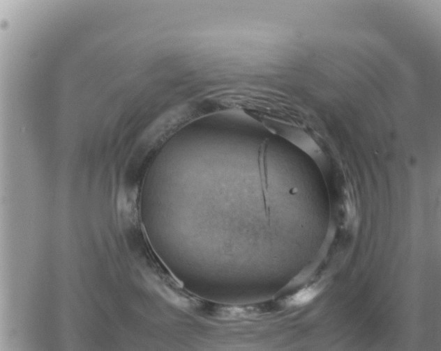 X0000064750239200602171741