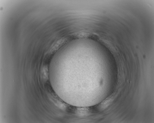 X0000064750240200602171741