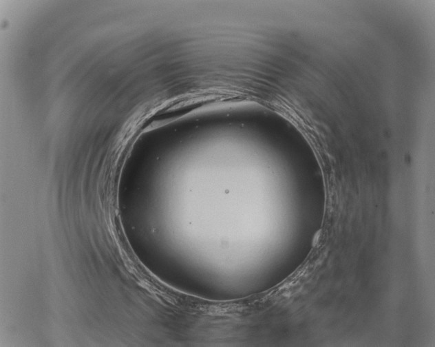 X0000064750241200602171740