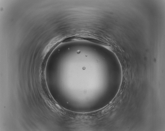 X0000064750242200602171740