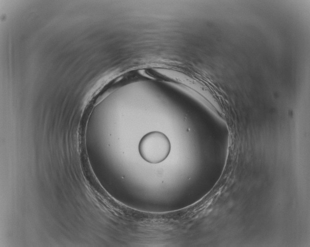 X0000064750244200602171740