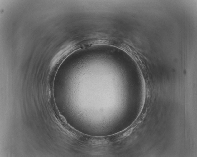 X0000064750245200602171740