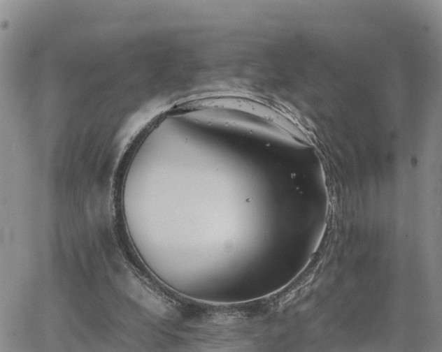 X0000064750248200602171740