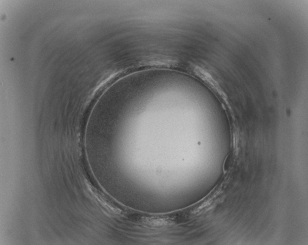 X0000064750249200602171740