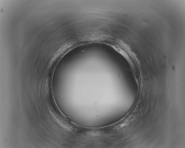 X0000064750250200602171740