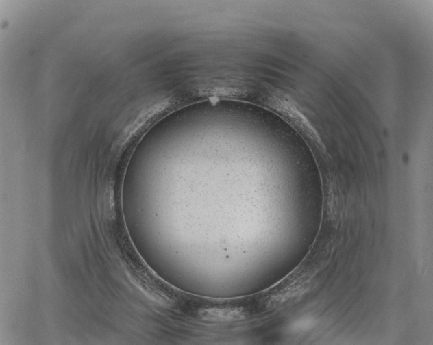 X0000064750251200602171740