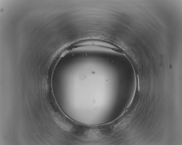 X0000064750252200602171740