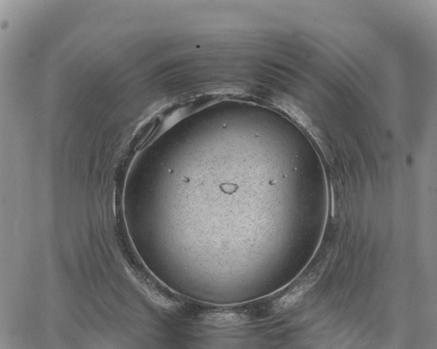 X0000064750253200602171740