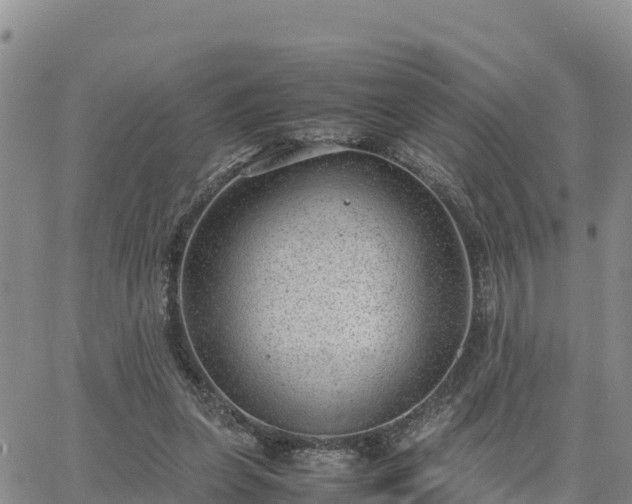 X0000064750255200602171740