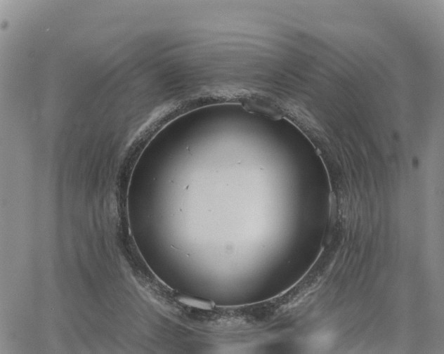 X0000064750256200602171740