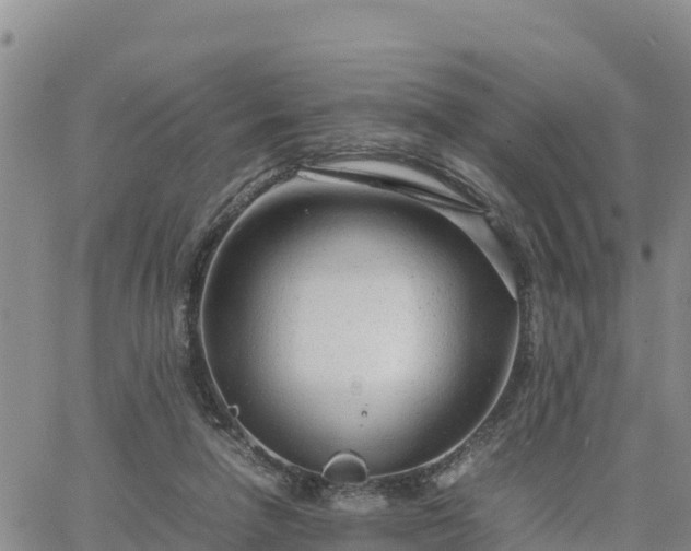 X0000064750258200602171740